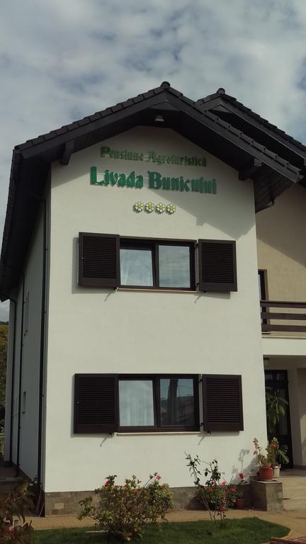Pensiunea Livada Bunicului Stanesti  Zewnętrze zdjęcie