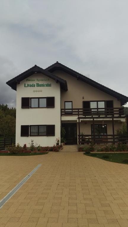 Pensiunea Livada Bunicului Stanesti  Zewnętrze zdjęcie